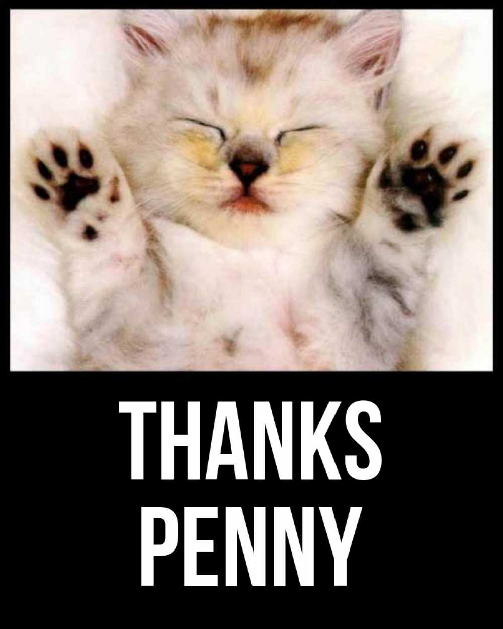 Greetings card с именем, Penny Thanks маленький котенок Greetings with text for free download 