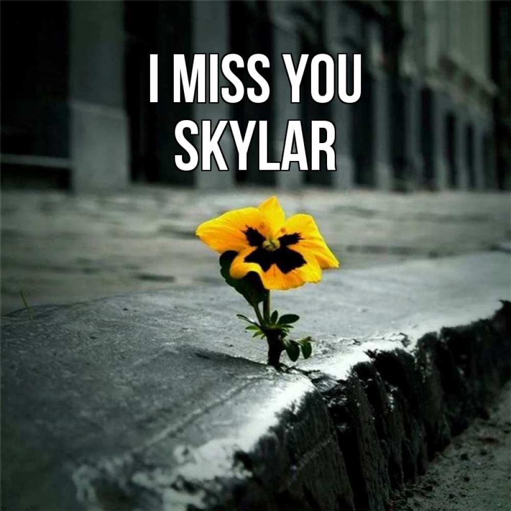 Greetings card с именем, Skylar I miss you надеюсь будет лучше Greetings with text for free download 