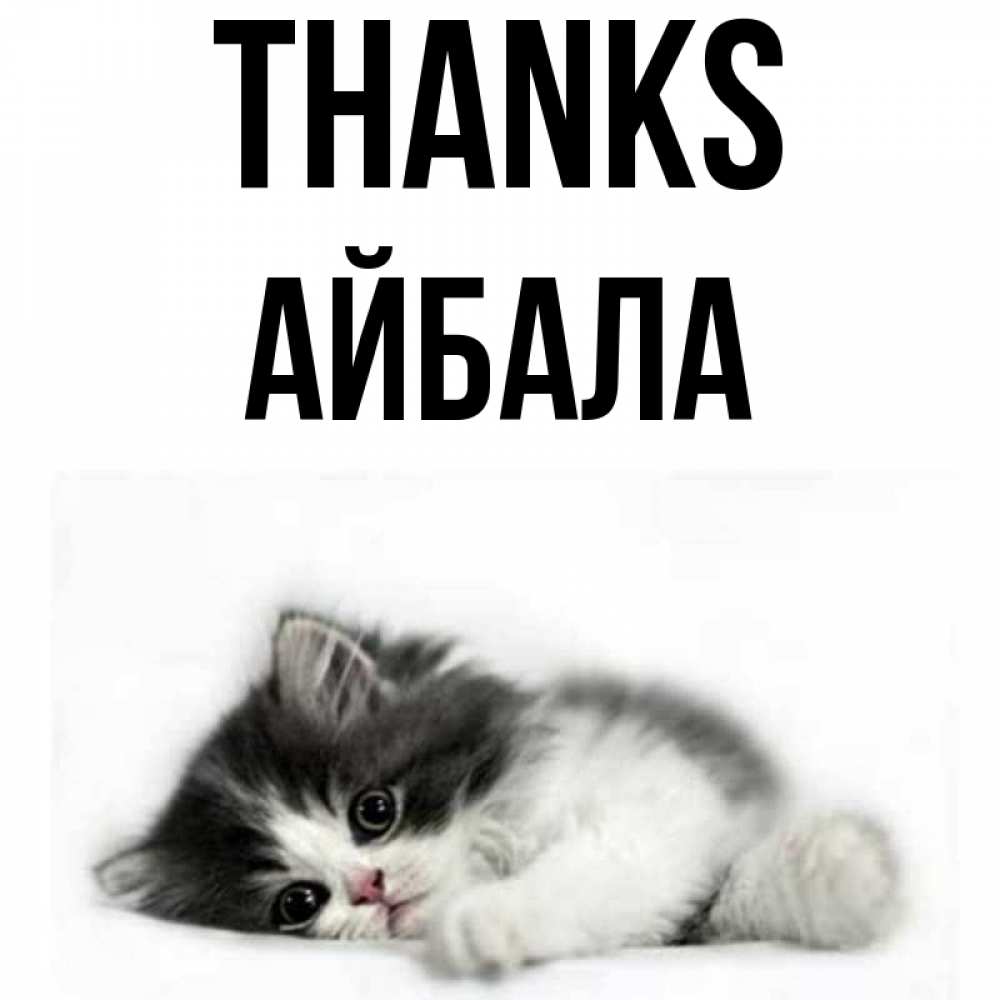 Greetings card с именем, Айбала Thanks черный и белый кот Greetings with text for free download 