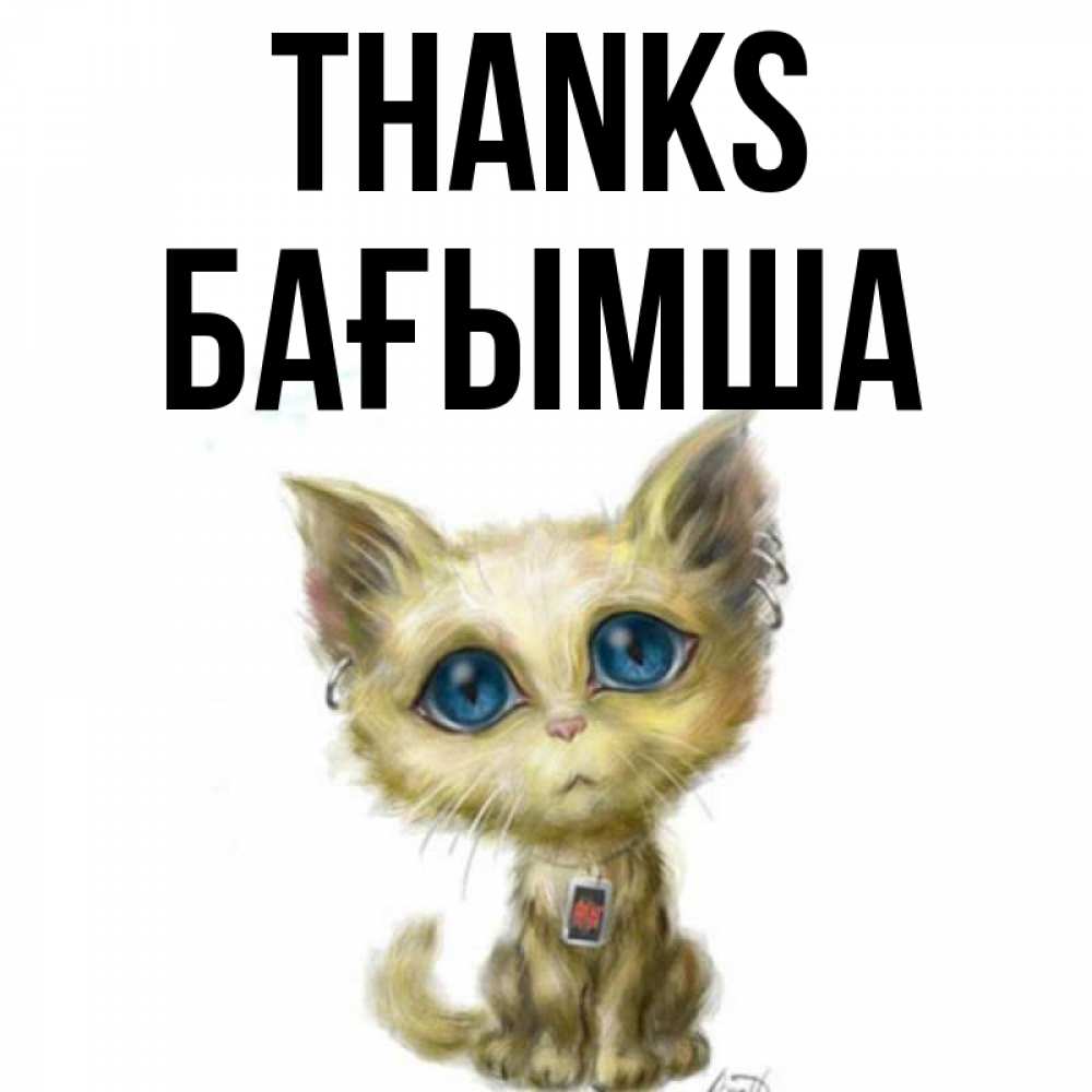Greetings card с именем, БАҒЫМША Thanks рисованный кот благодарит вас Greetings with text for free download 