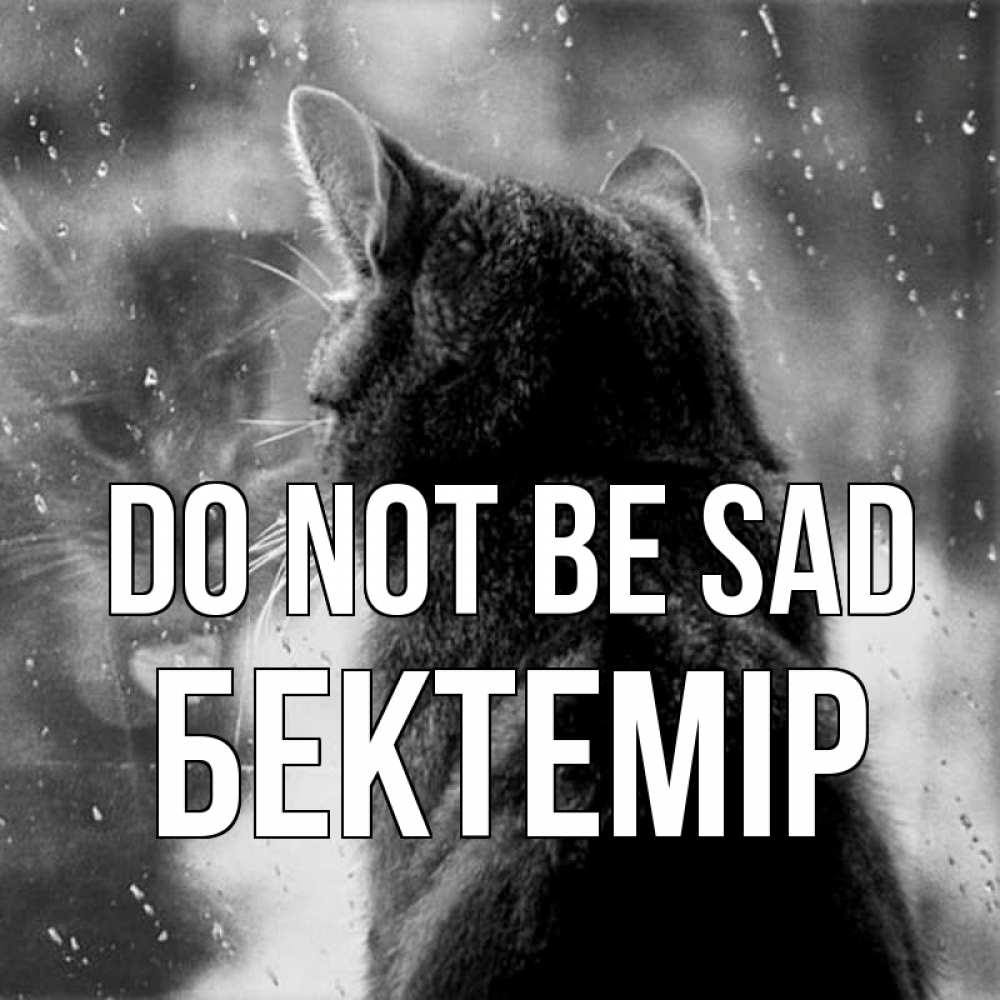 Greetings card с именем, Бектемір Do not be sad отражение кота 1 Greetings with text for free download 