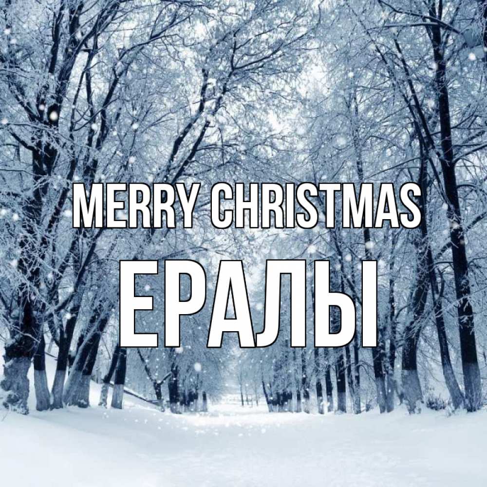 Greetings card с именем, Ералы Merry Christmas снег, лес, парк Greetings with text for free download 