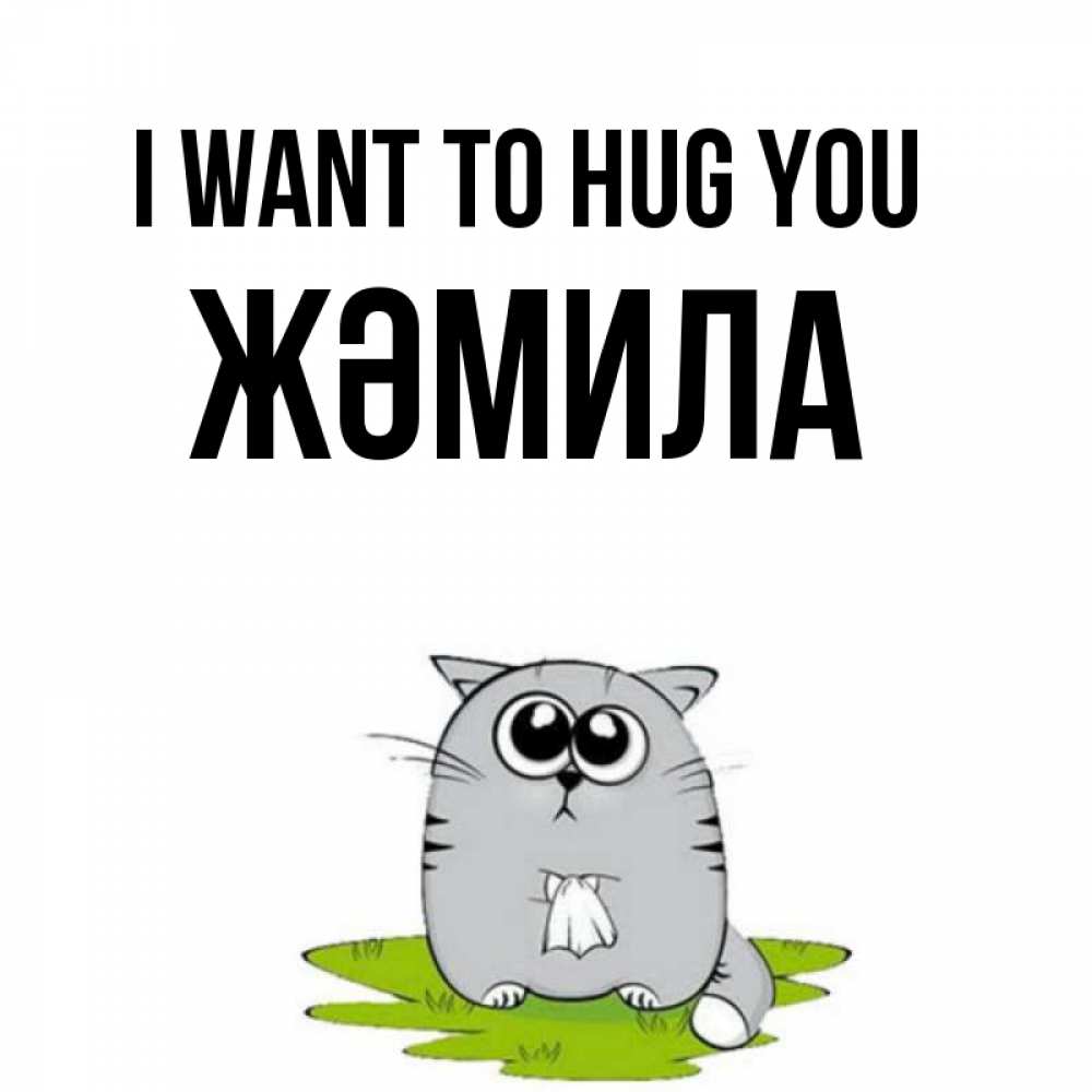Greetings card с именем, ЖӘМИЛА I want to hug you котик теребит платочек сидя на травке Greetings with text for free download 