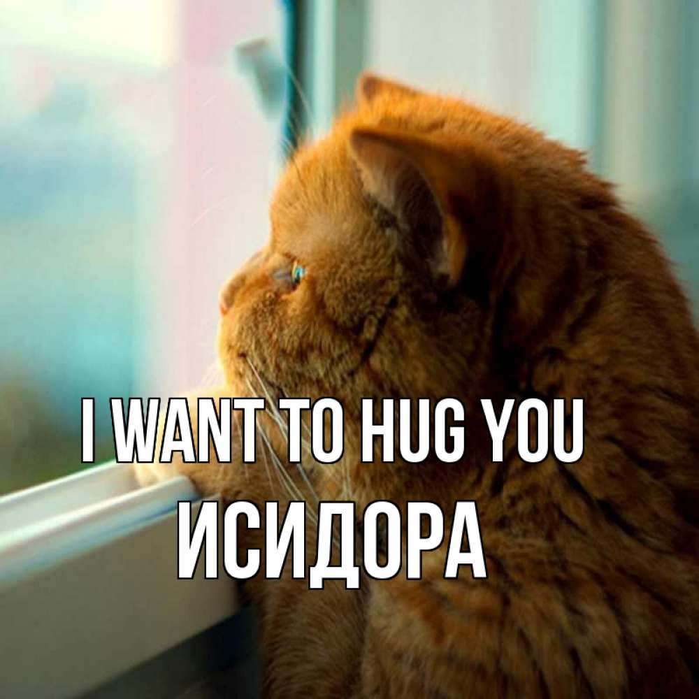 Greetings card с именем, Исидора I want to hug you большой огромный рыжий котяра Greetings with text for free download 