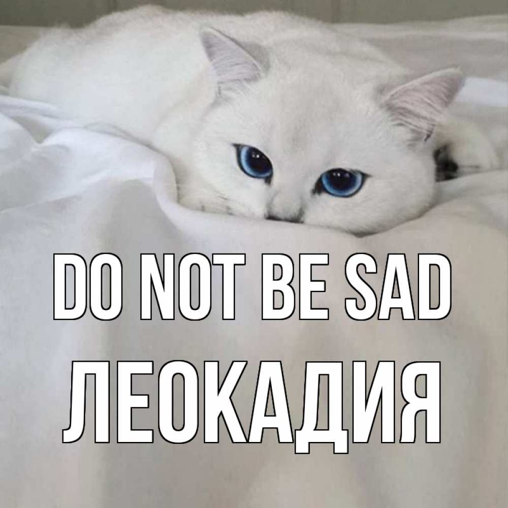 Greetings card с именем, Леокадия Do not be sad белый кот с голубыми глазами на белоснежной кровати Greetings with text for free download 