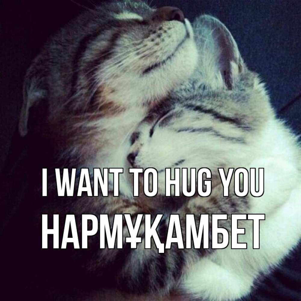 Greetings card с именем, НАРМҰҚАМБЕТ I want to hug you полосатики Greetings with text for free download 