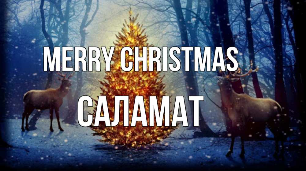 Greetings card с именем, САЛАМАТ Merry Christmas олени, новогодняя елка Greetings with text for free download 