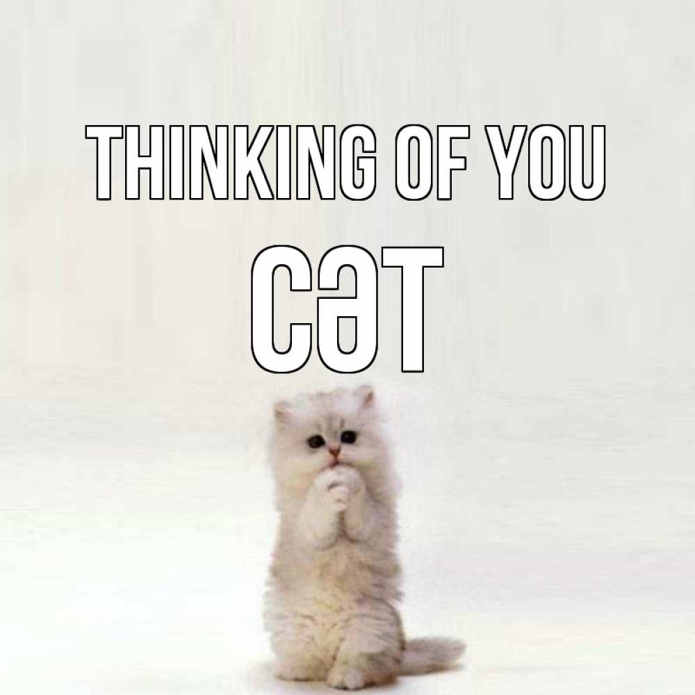 Greetings card с именем, СӘТ Thinking of you кот стоит на задних лапах Greetings with text for free download 