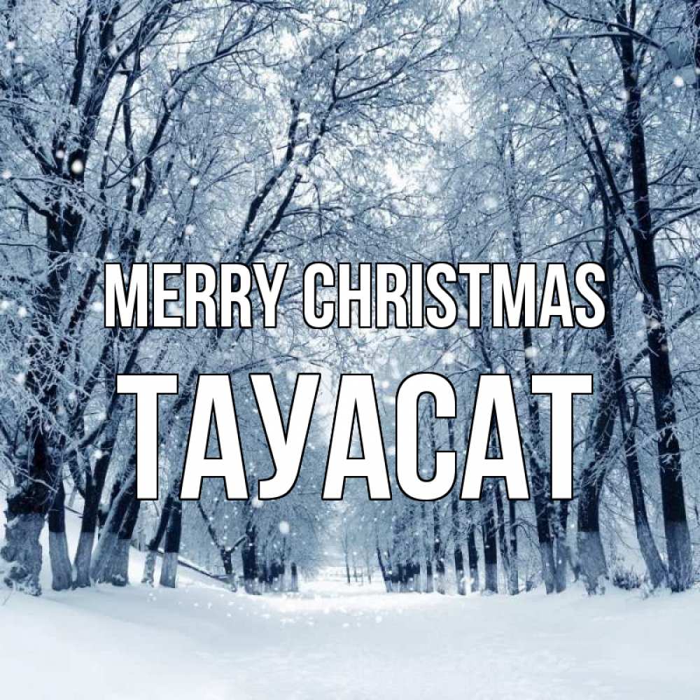 Greetings card с именем, ТАУАСАТ Merry Christmas снег, лес, парк Greetings with text for free download 