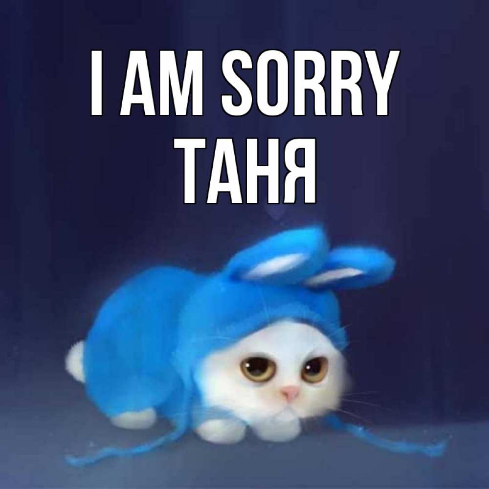 Greetings card с именем, Таня I am sorry невинный котозай просит прощения Greetings with text for free download 