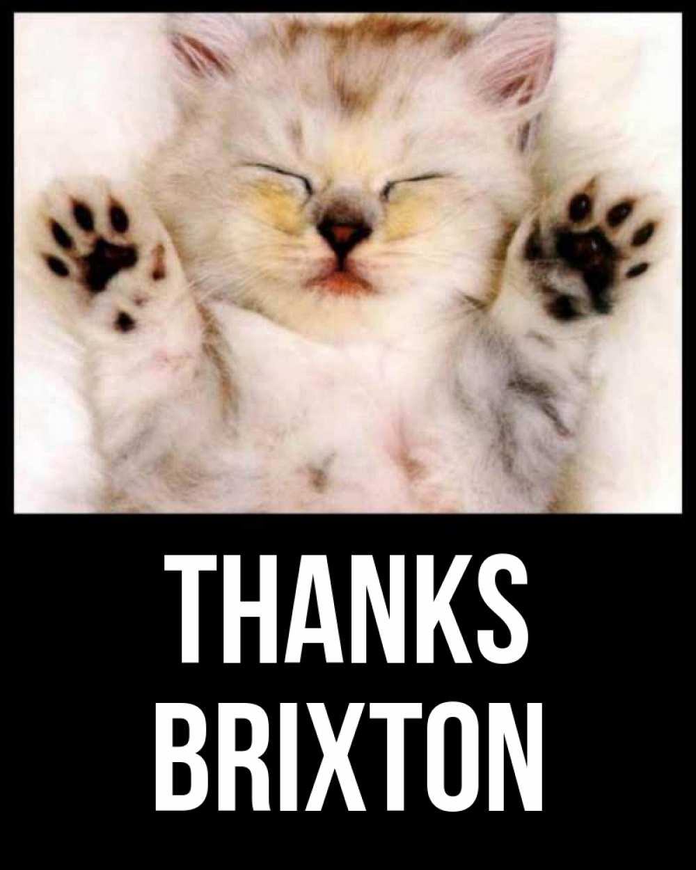 Greetings card с именем, Brixton Thanks маленький котенок Greetings with text for free download 