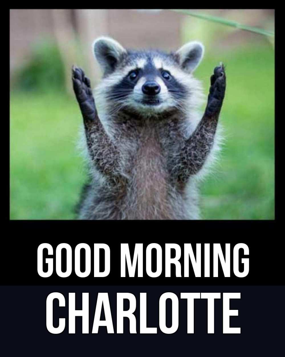 Greetings card с именем, Charlotte Good morning хорошее настроение утречком Greetings with text for free download 