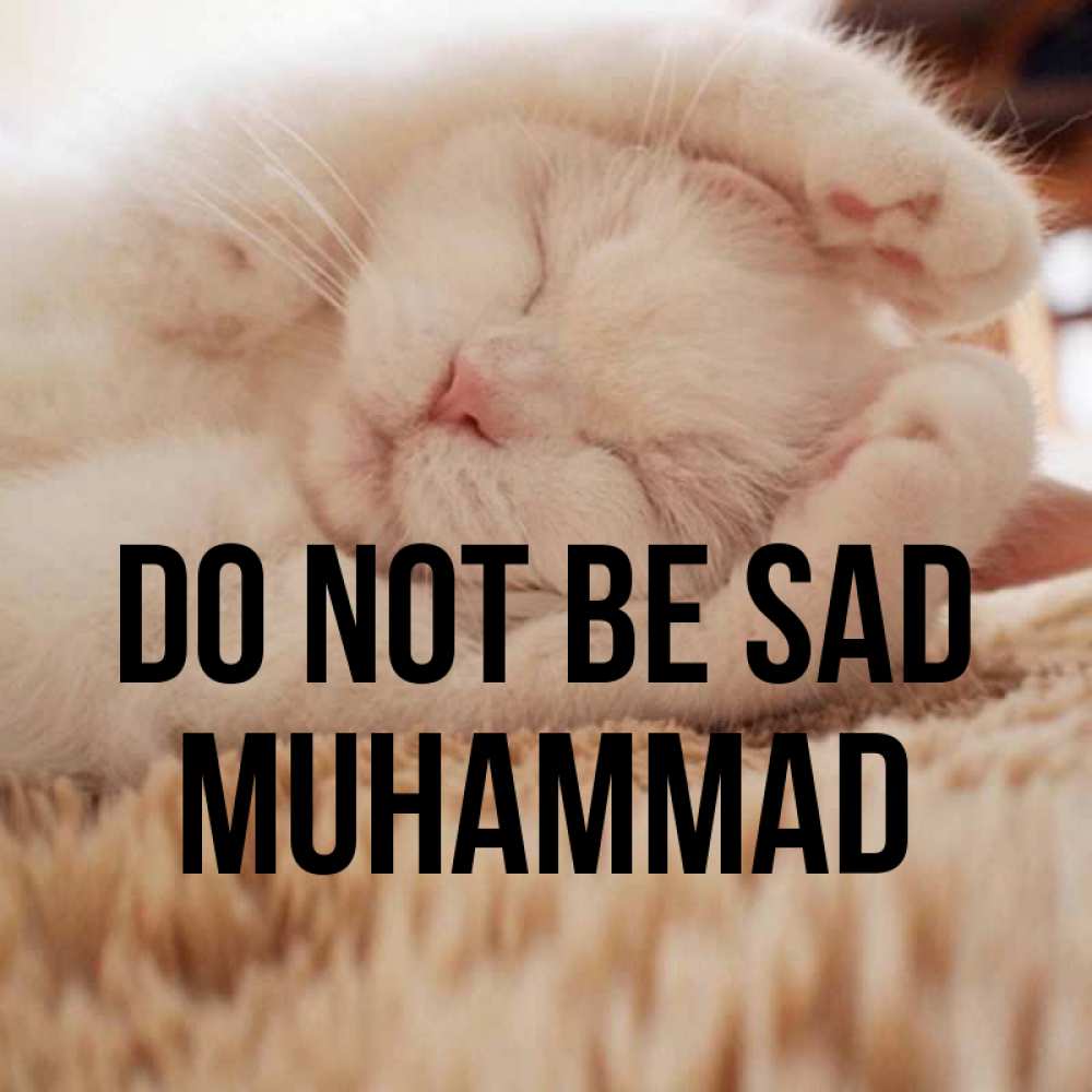 Greetings card с именем, Muhammad Do not be sad Котенок спит Greetings with text for free download 
