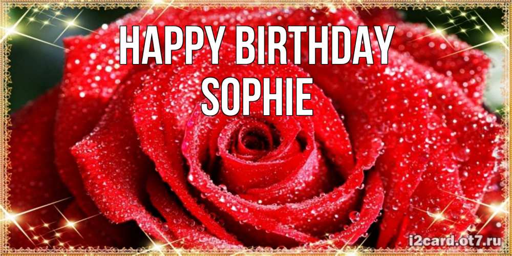 Greetings card с именем, Sophie Happy Birthday роса и роза. открытка с красивой розой Greetings with text for free download 