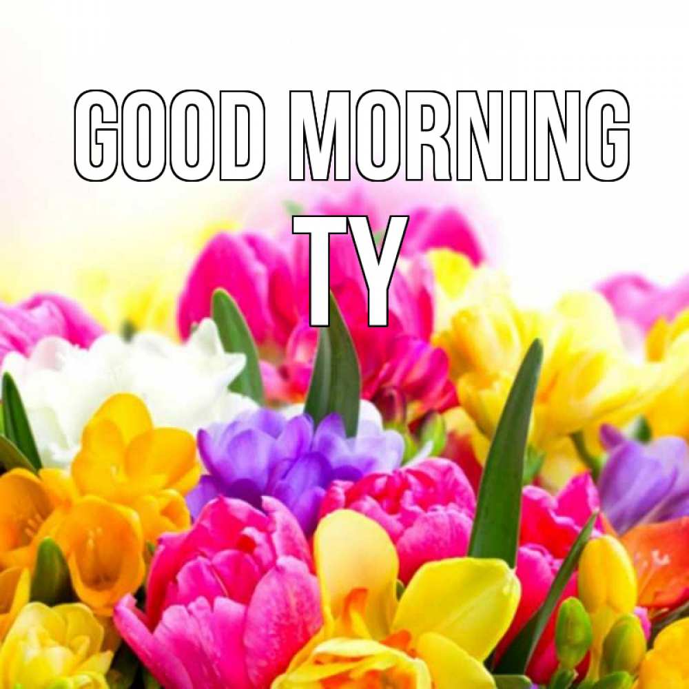 Greetings card с именем, Ty Good morning создать открытку со свое подписью Greetings with text for free download 