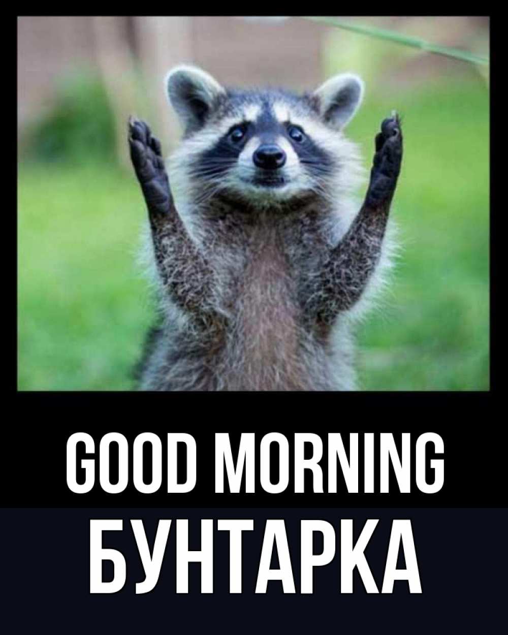 Greetings card с именем, Бунтарка Good morning хорошее настроение утречком Greetings with text for free download 
