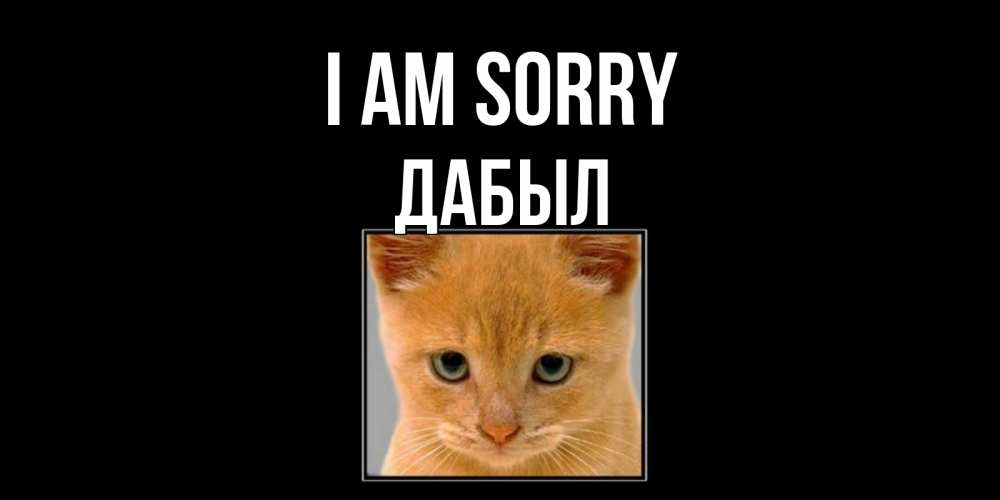 Greetings card с именем, Дабыл I am sorry рыжий грустный кот просит прощения Greetings with text for free download 