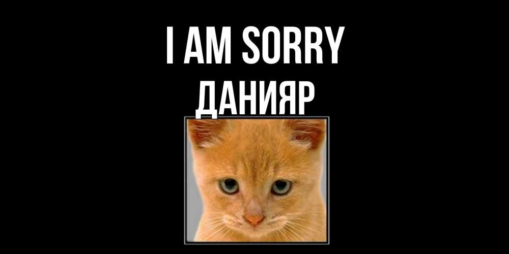 Greetings card с именем, Данияр I am sorry рыжий грустный кот просит прощения Greetings with text for free download 