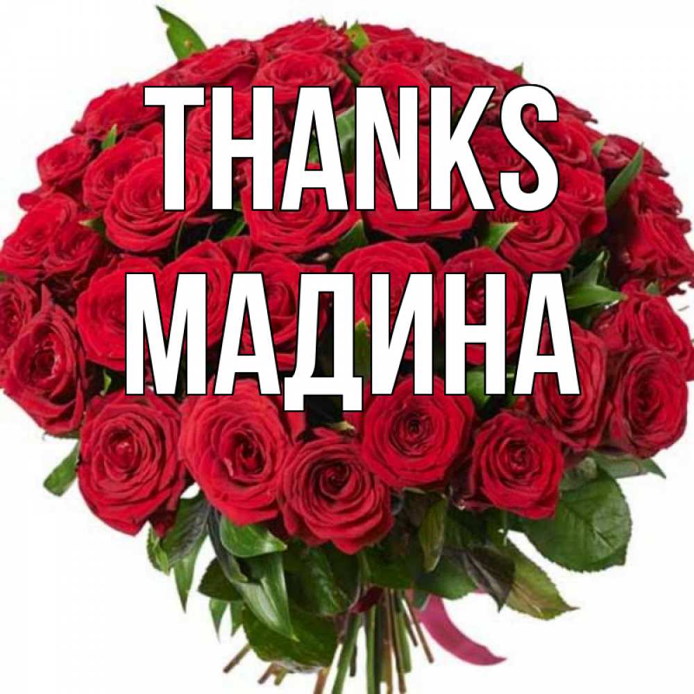 Greetings card с именем, Мадина Thanks букет красных роз Greetings with text for free download 