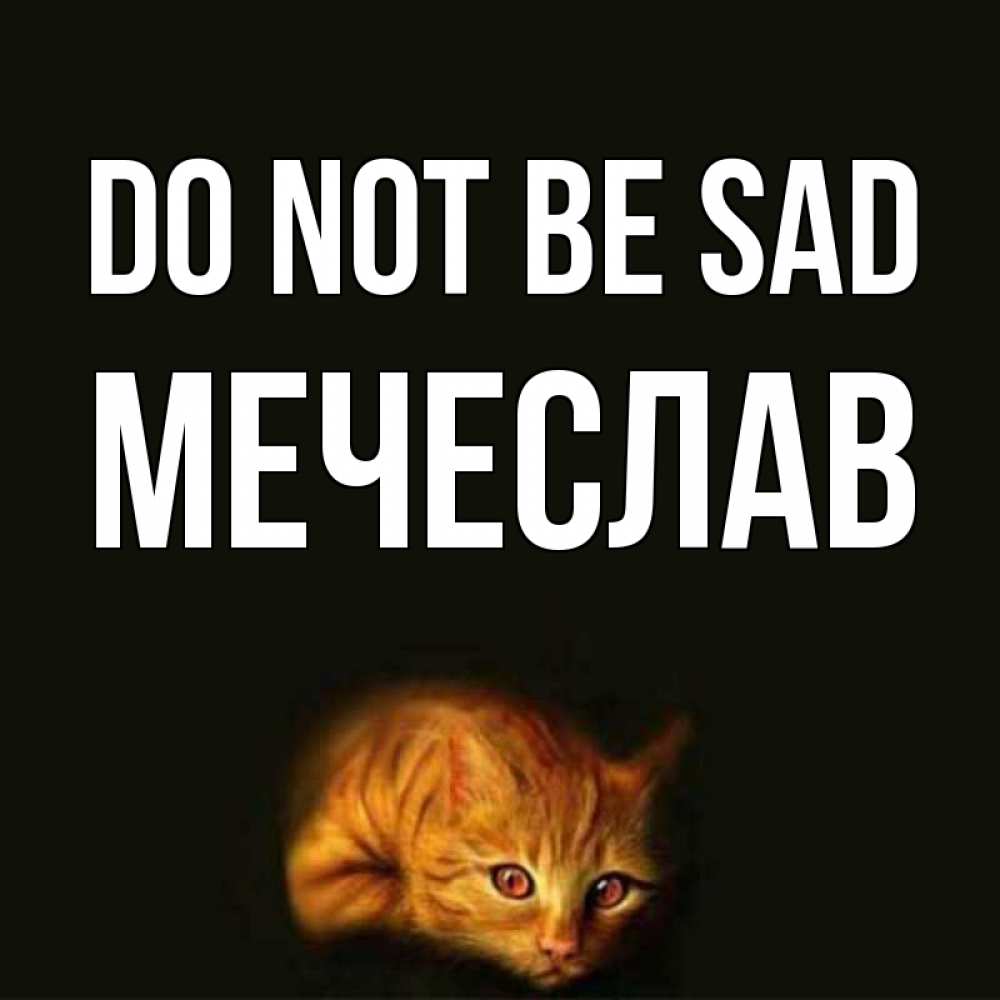 Greetings card с именем, Мечеслав Do not be sad лежащий кот в темноте Greetings with text for free download 