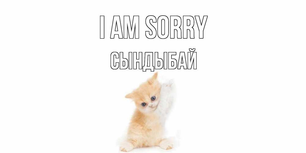 Greetings card с именем, СЫНДЫБАЙ I am sorry кот Greetings with text for free download 
