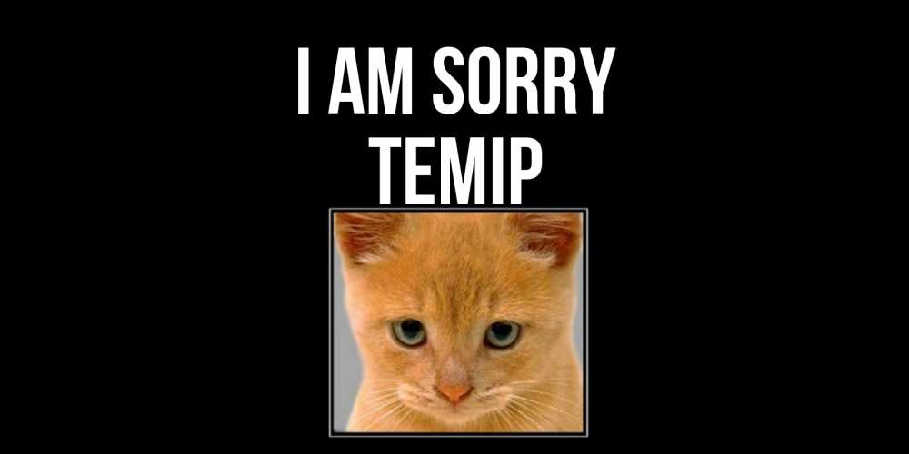 Greetings card с именем, ТЕМІР I am sorry рыжий грустный кот просит прощения Greetings with text for free download 