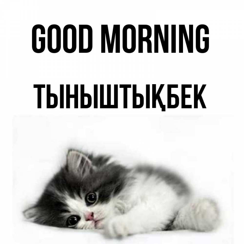 Greetings card с именем, ТЫНЫШТЫҚБЕК Good morning кот лапки Greetings with text for free download 