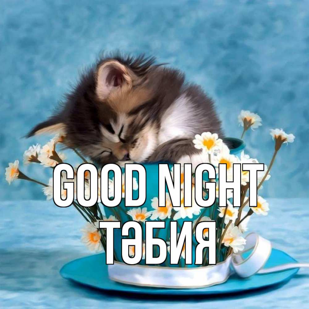 Greetings card с именем, ТӘБИЯ Good night котенок спит в кружке с блюдцем Greetings with text for free download 