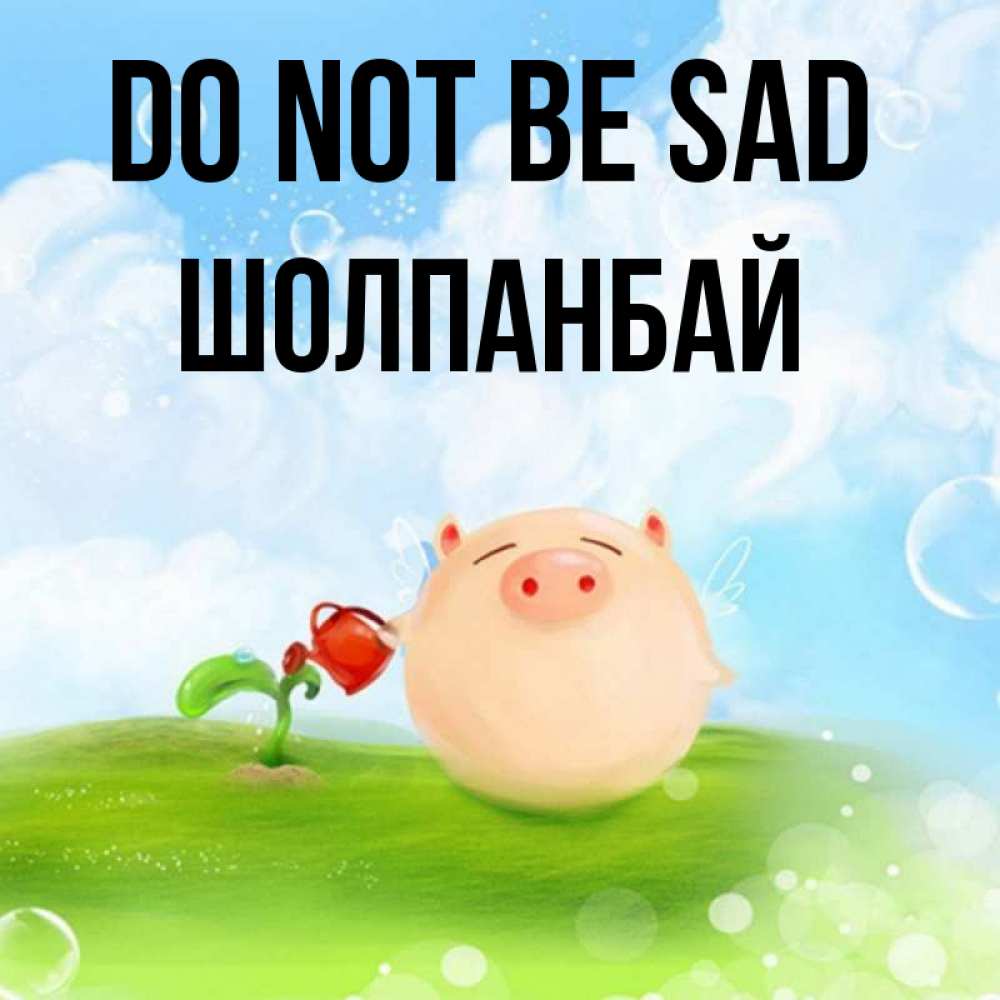 Greetings card с именем, ШОЛПАНБАЙ Do not be sad поливает цветок порося Greetings with text for free download 