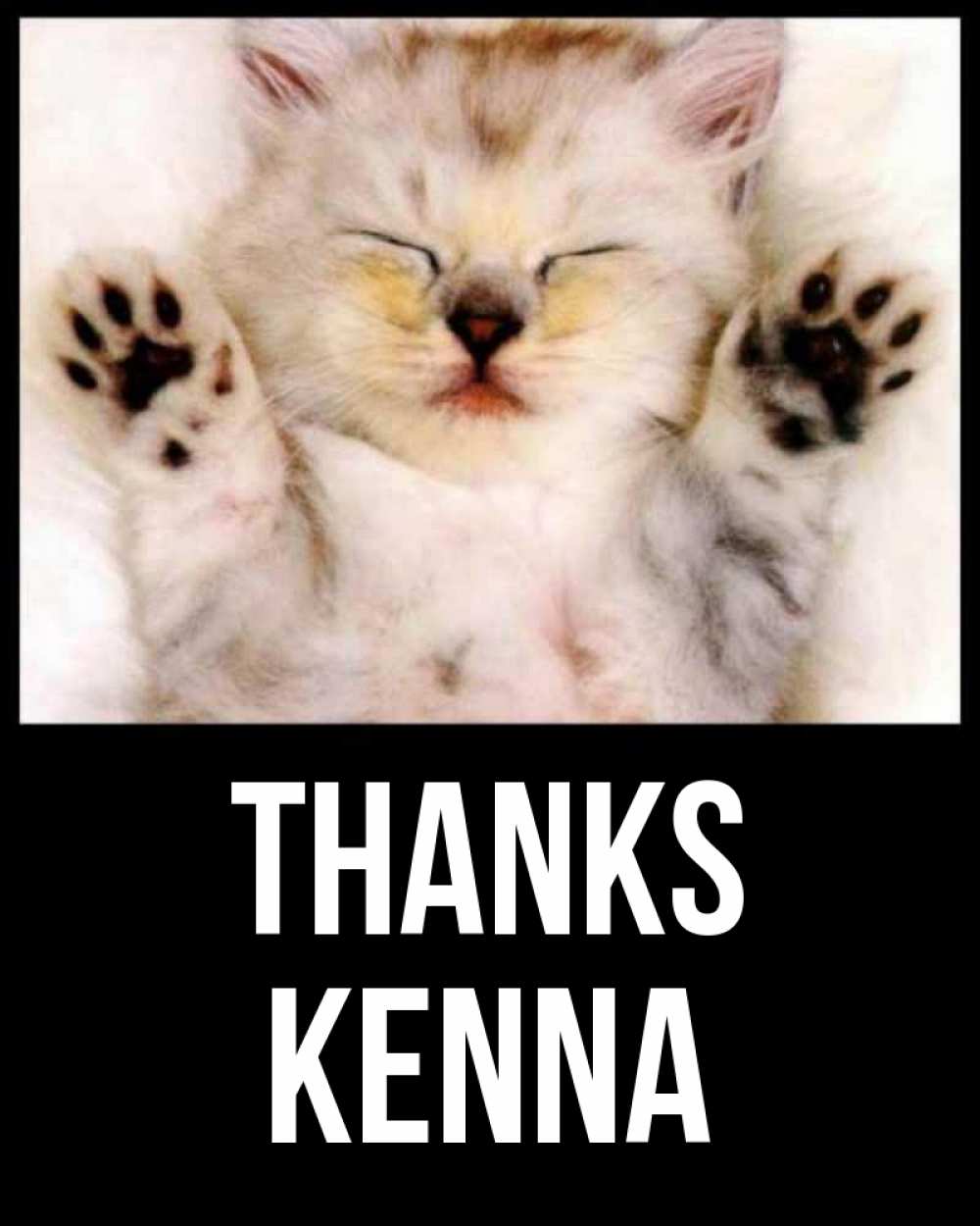 Greetings card с именем, Kenna Thanks маленький котенок Greetings with text for free download 