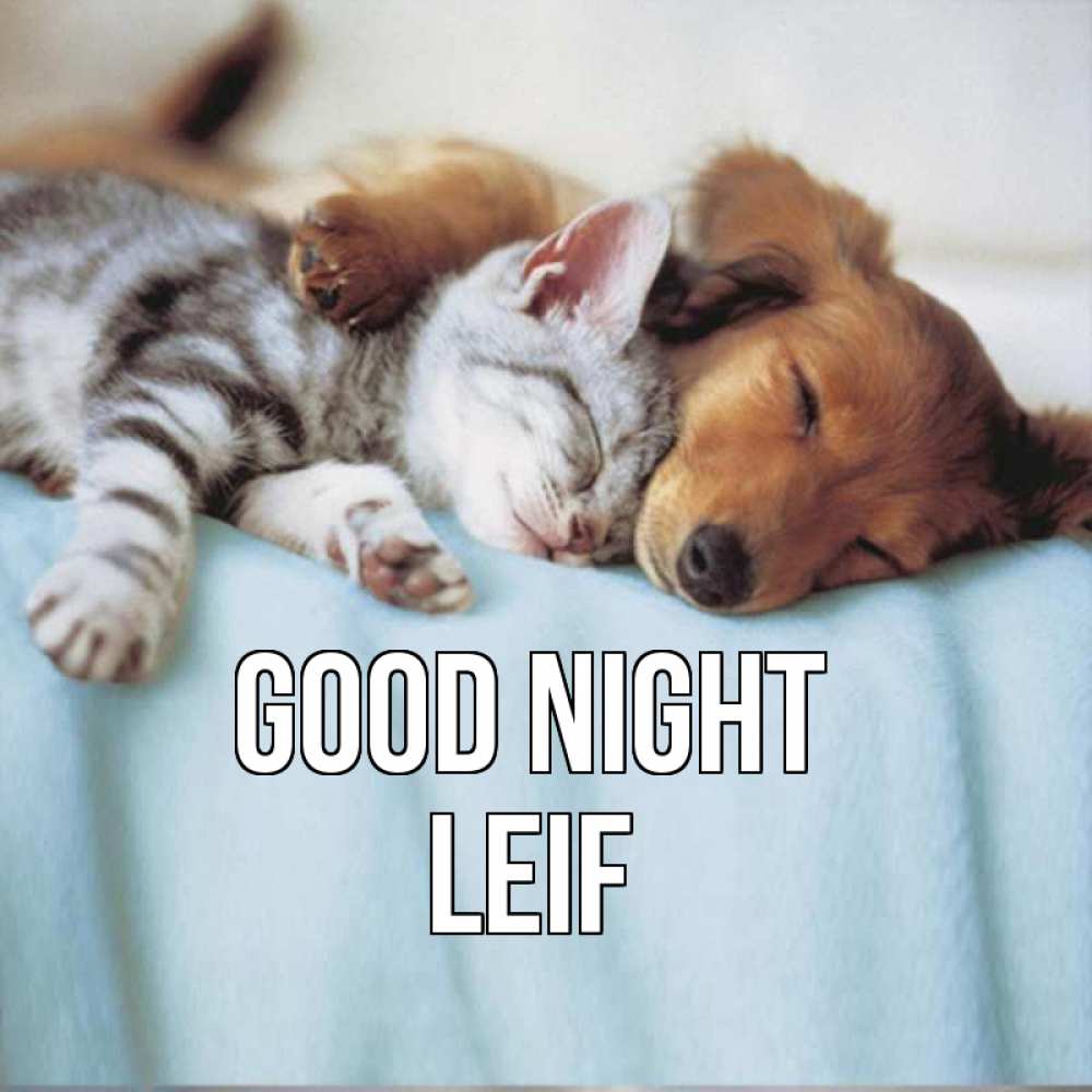 Greetings card с именем, Leif Good night с животными Greetings with text for free download 