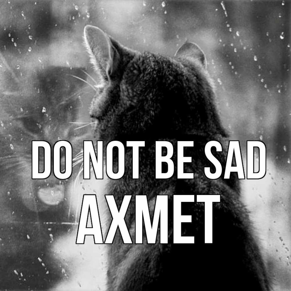 Greetings card с именем, Ахмет Do not be sad отражение кота 1 Greetings with text for free download 