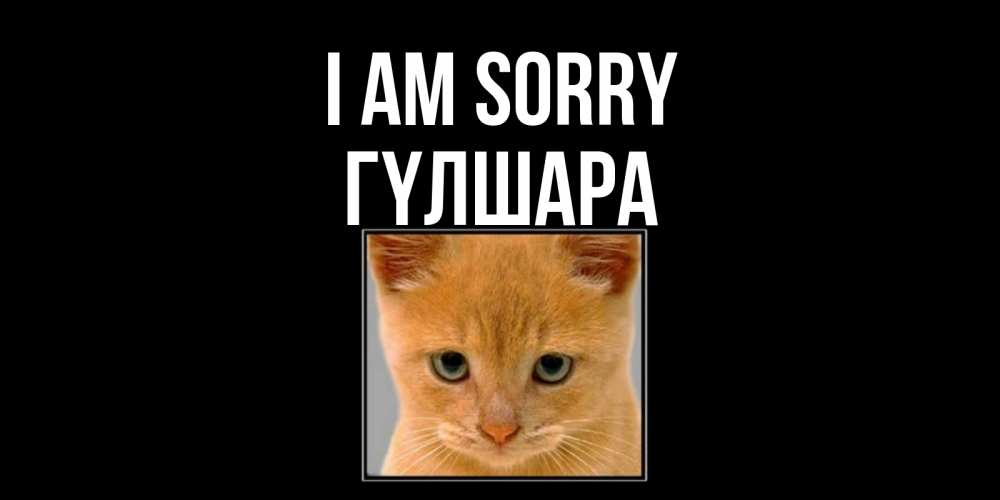 Greetings card с именем, ГҮЛШАРА I am sorry рыжий грустный кот просит прощения Greetings with text for free download 