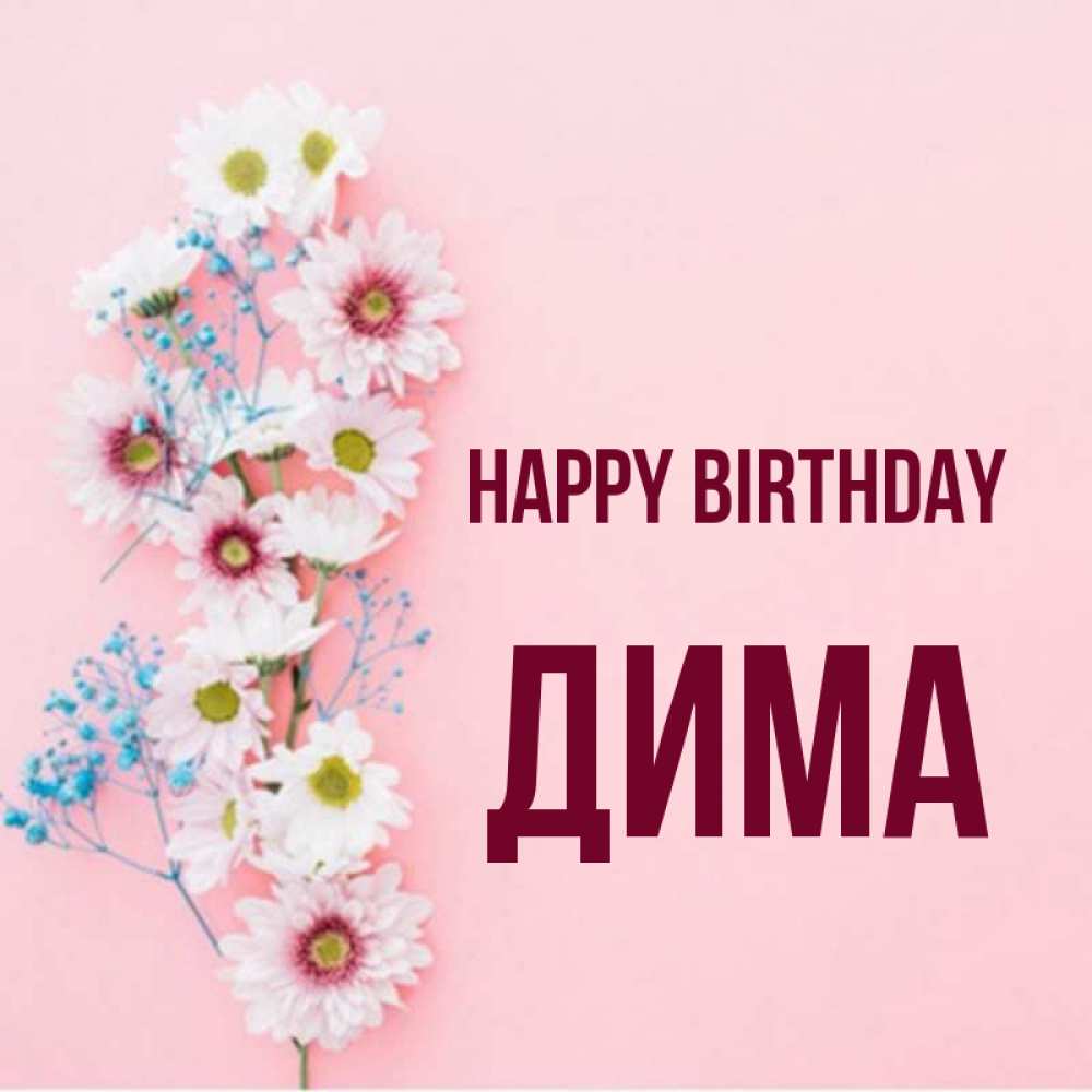 Greetings card с именем, Дима Happy Birthday Родная моя с днем рождения тебя картинка с цветами белыми и голубыми Greetings with text for free download 
