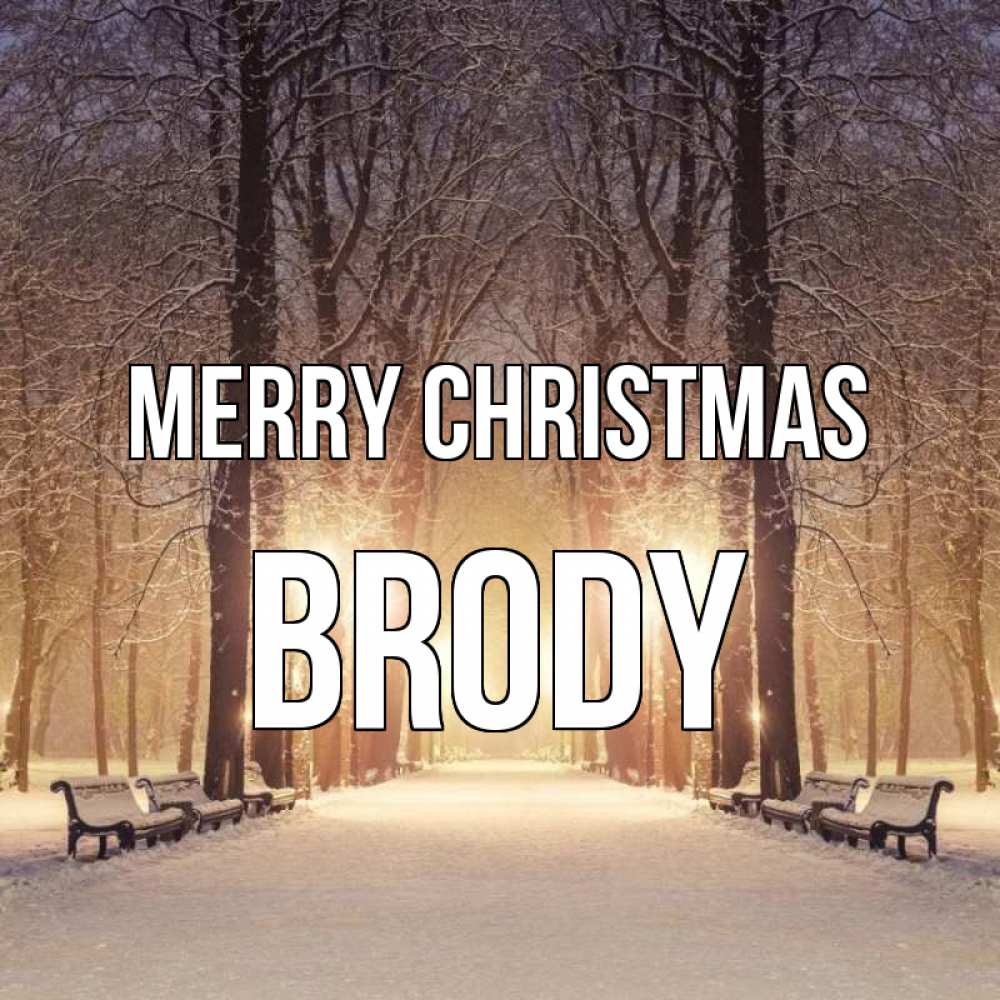 Greetings card с именем, Brody Merry Christmas зима, парк, фонарь, лес Greetings with text for free download 