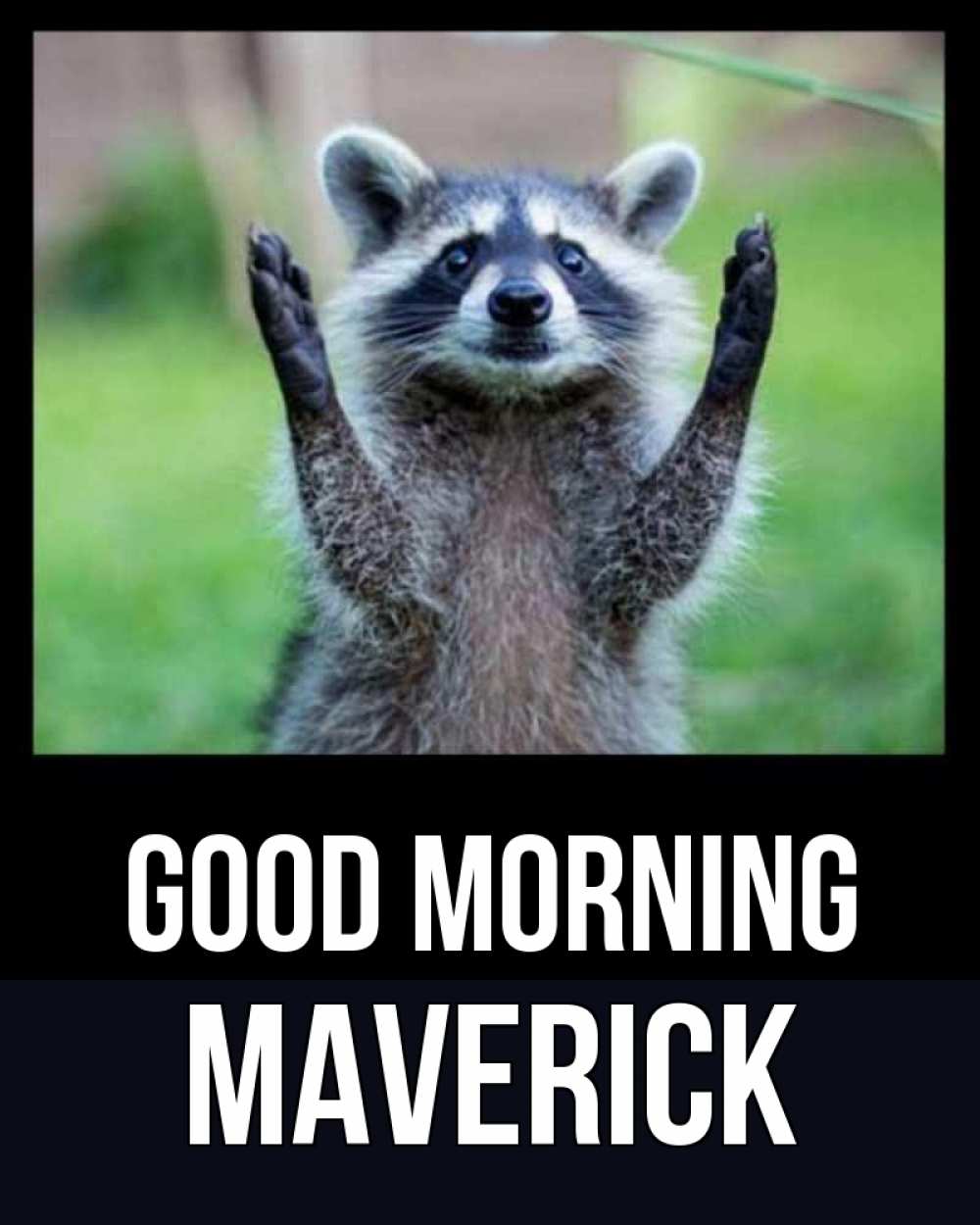 Greetings card с именем, Maverick Good morning хорошее настроение утречком Greetings with text for free download 