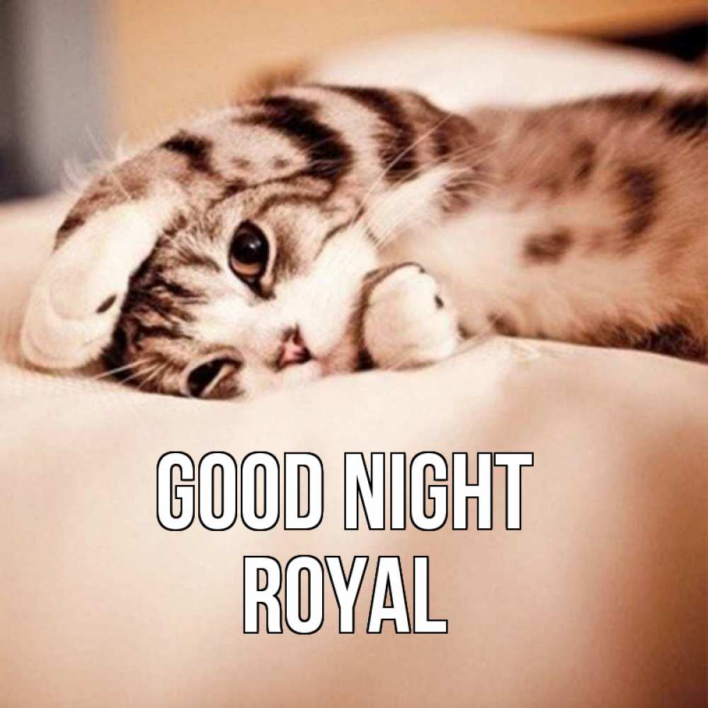 Greetings card с именем, Royal Good night сладких снов с животными Greetings with text for free download 