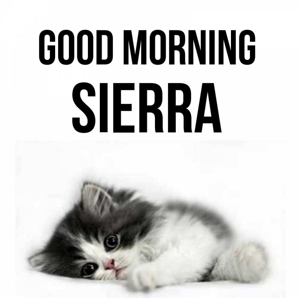 Greetings card с именем, Sierra Good morning кот лапки Greetings with text for free download 