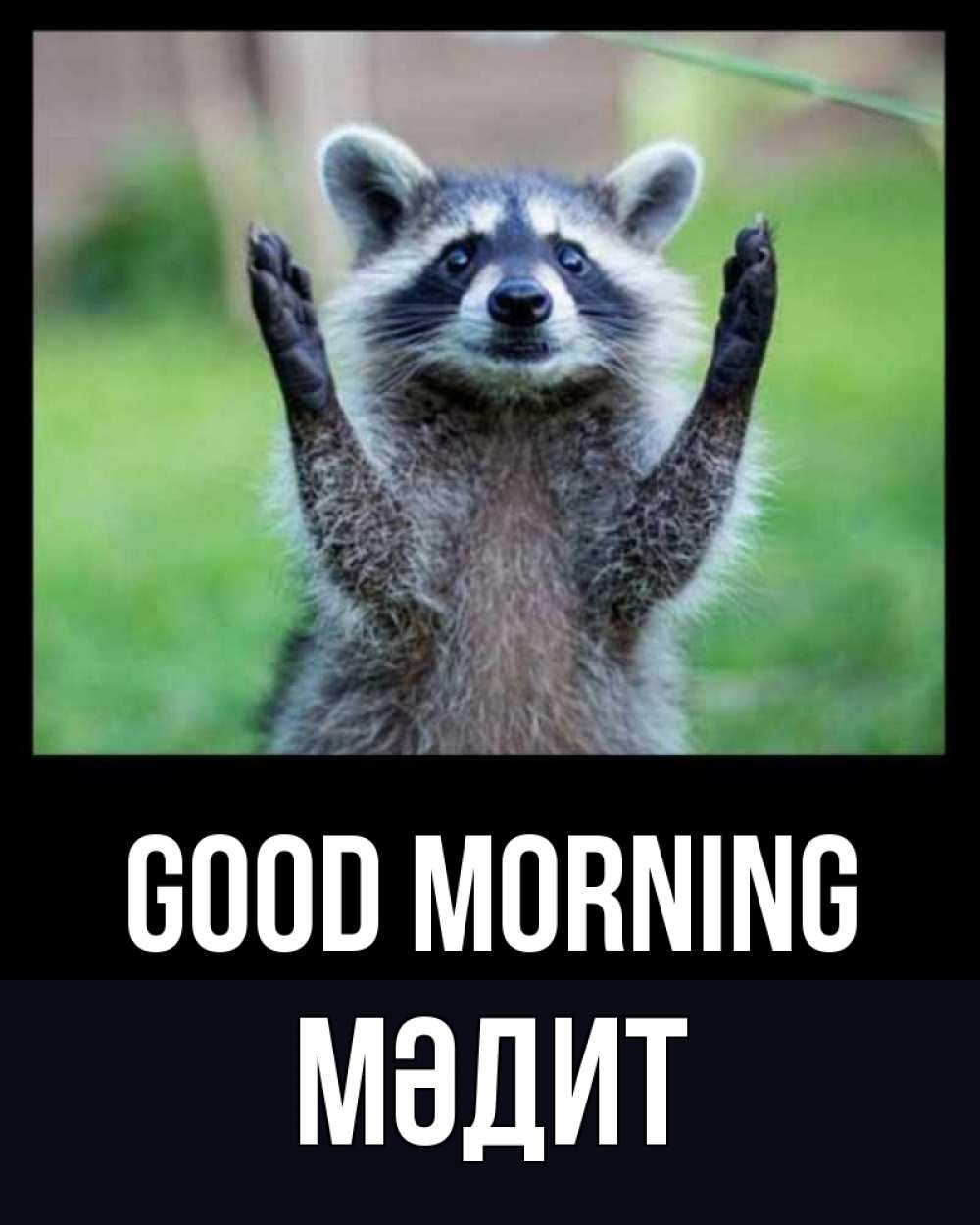 Greetings card с именем, МӘДИТ Good morning хорошее настроение утречком Greetings with text for free download 