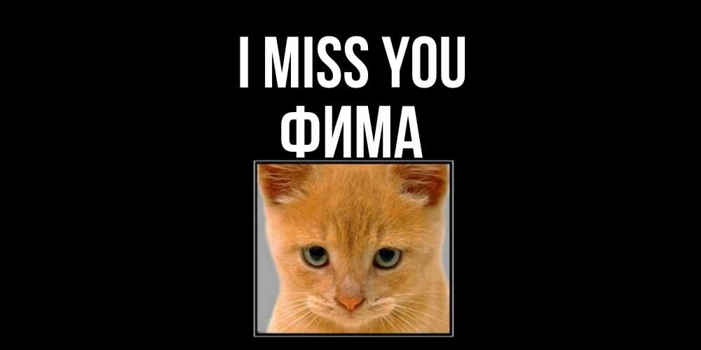 Greetings card с именем, Фима I miss you открытки рыжий котенок скучает по тебе Greetings with text for free download 