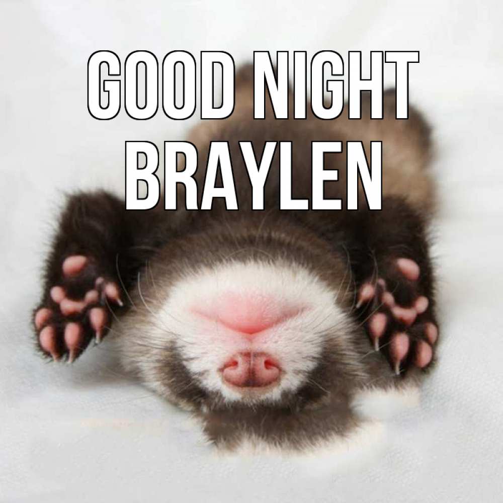 Greetings card с именем, Braylen Good night зверек Greetings with text for free download 
