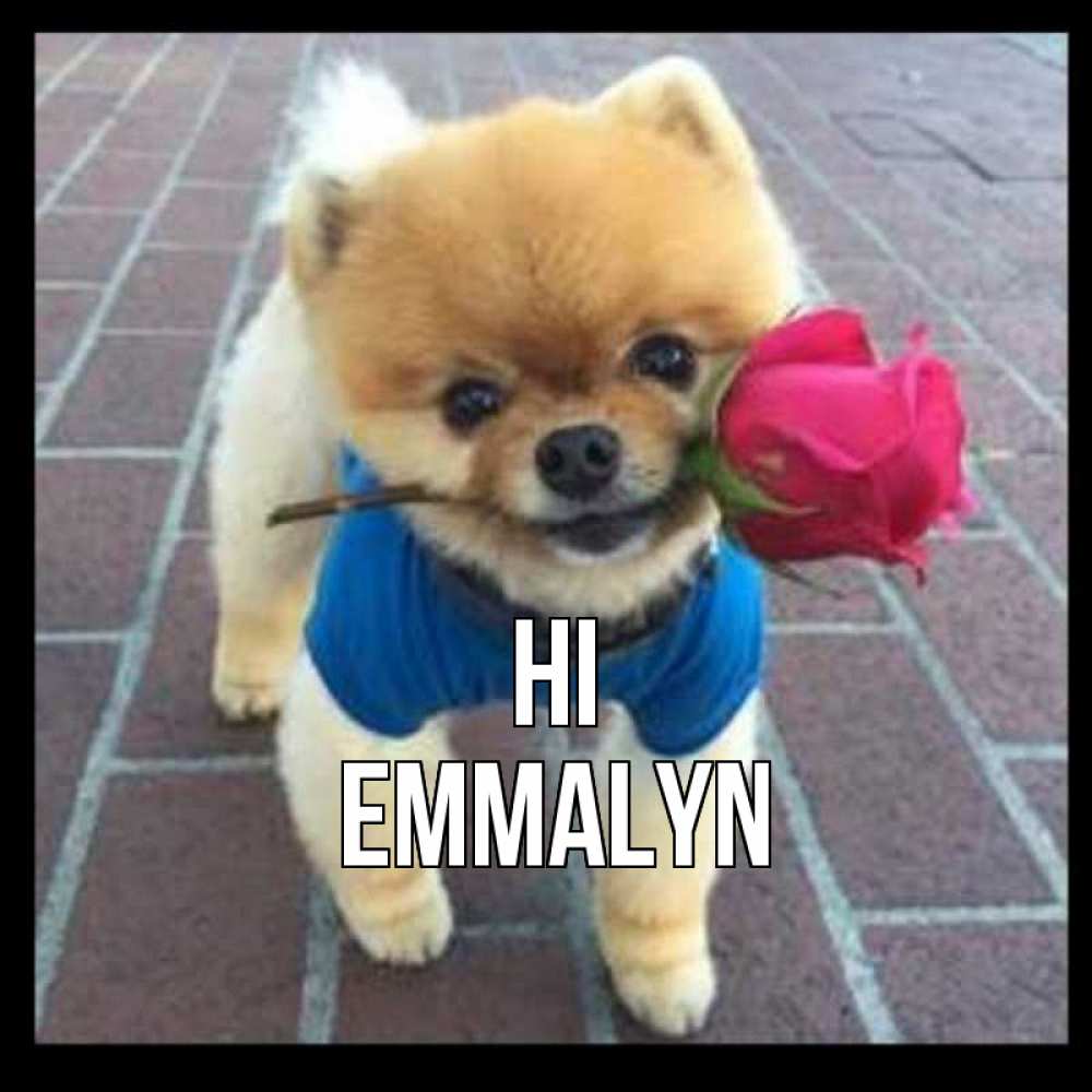 Greetings card с именем, Emmalyn Hi роза в зубах у собаки Greetings with text for free download 