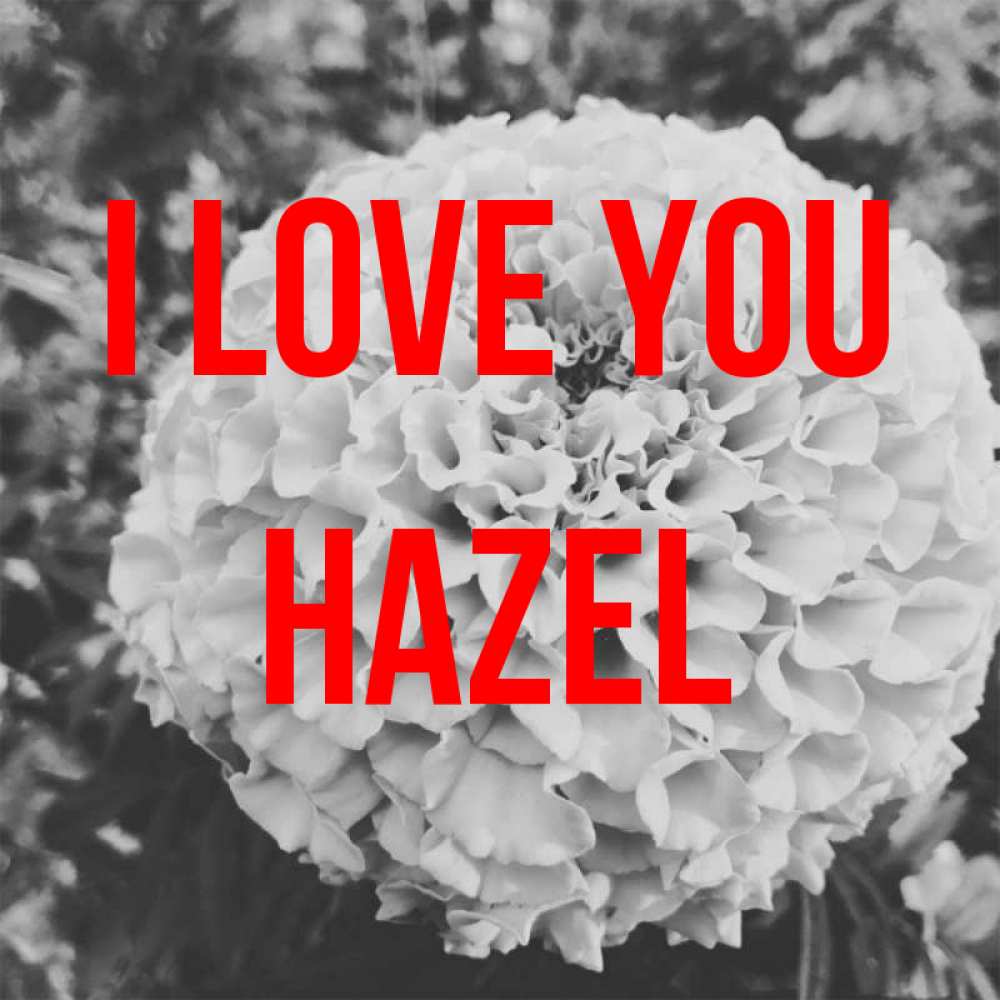 Greetings card с именем, Hazel I love you подпись Greetings with text for free download 