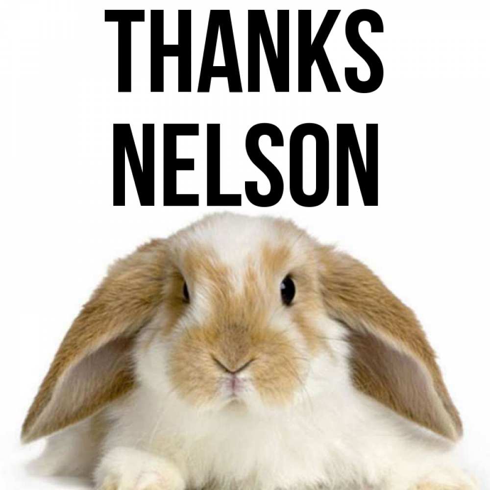 Greetings card с именем, Nelson Thanks коричнево белый заяц Greetings with text for free download 