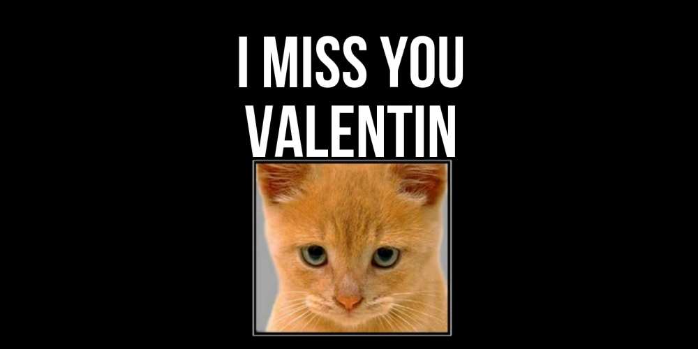 Greetings card с именем, Valentin I miss you открытки рыжий котенок скучает по тебе Greetings with text for free download 