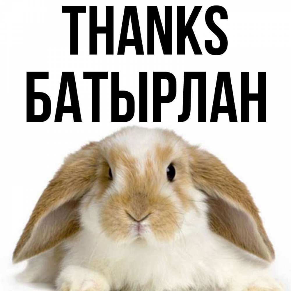 Greetings card с именем, Батырлан Thanks коричнево белый заяц Greetings with text for free download 