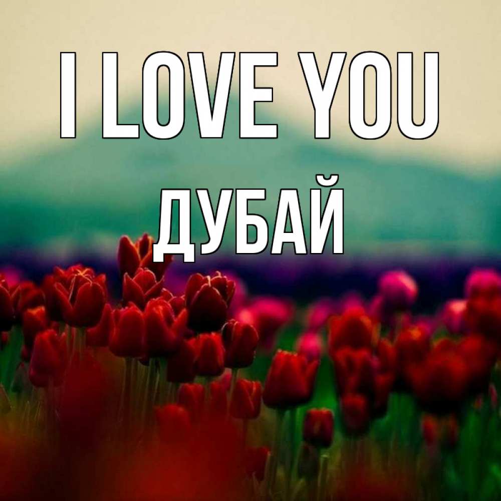 Greetings card с именем, Дубай I love you тюльпаны 4 Greetings with text for free download 