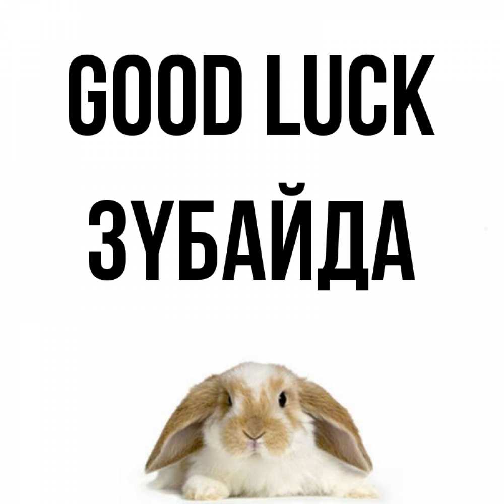 Greetings card с именем, ЗҮБАЙДА Good luck открытки с произвольным текстом который можно вставить в открытку и создать ее самостоятельно бесплатно онлайн Greetings with text for free download 