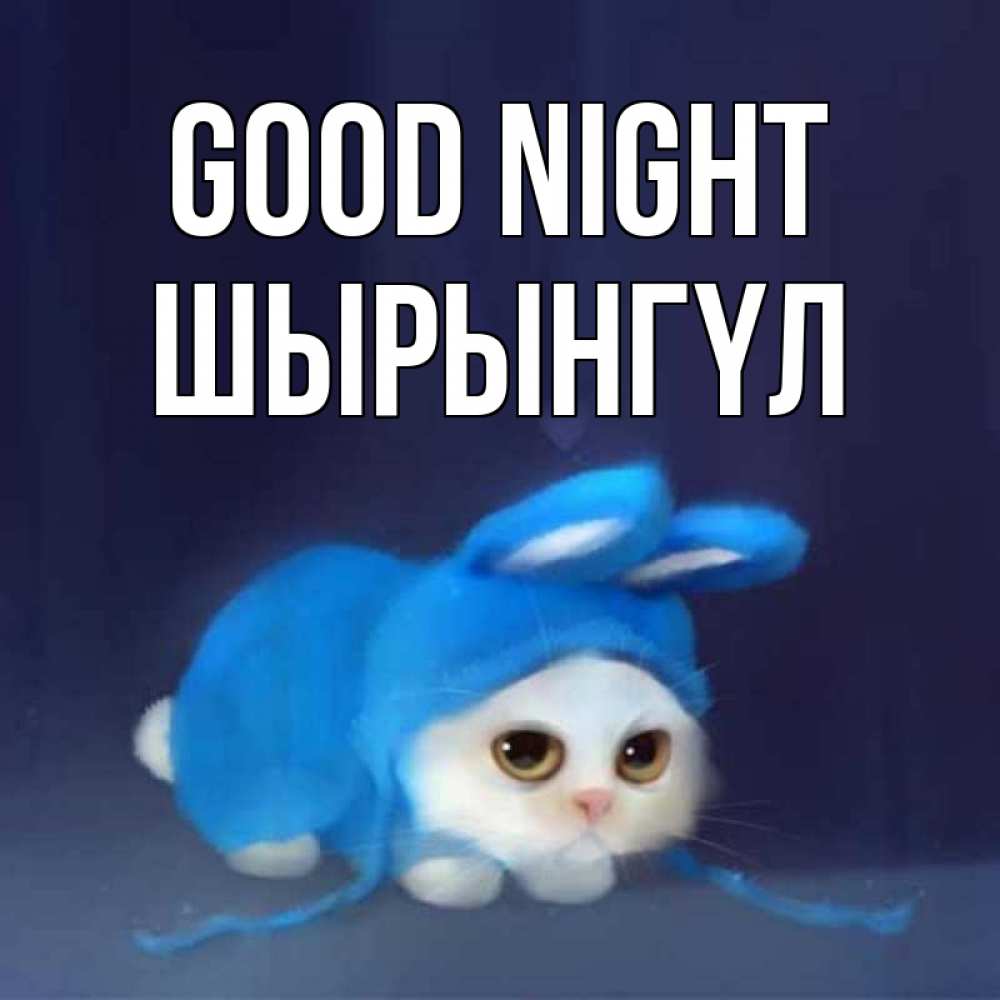 Greetings card с именем, ШЫРЫНГҮЛ Good night кот в голубом костюме кролика с ушками Greetings with text for free download 