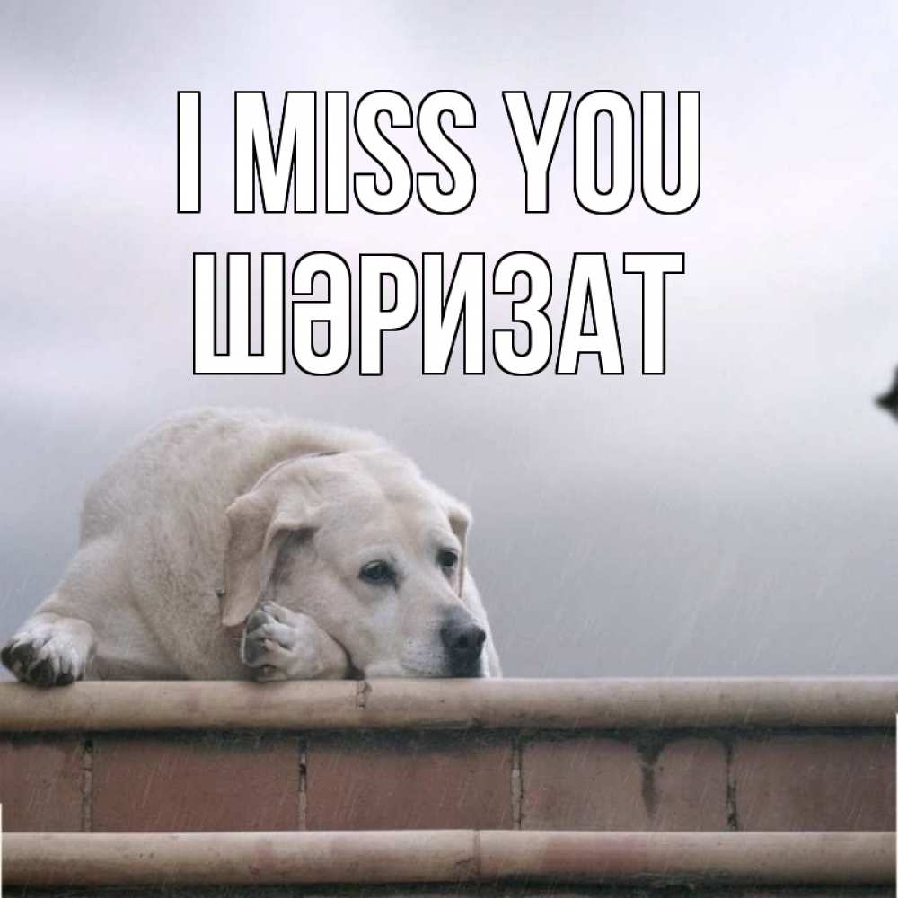Greetings card с именем, ШӘРИЗАТ I miss you ждет Greetings with text for free download 
